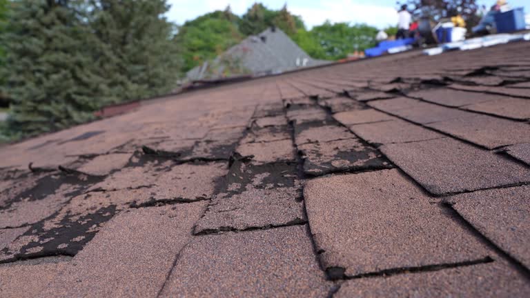 Best Roofing for New Construction  in Brushy, OK