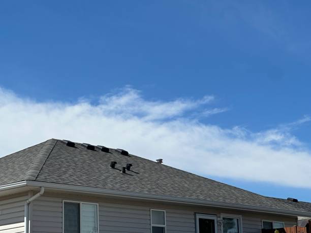 Best Roof Waterproofing  in Brushy, OK